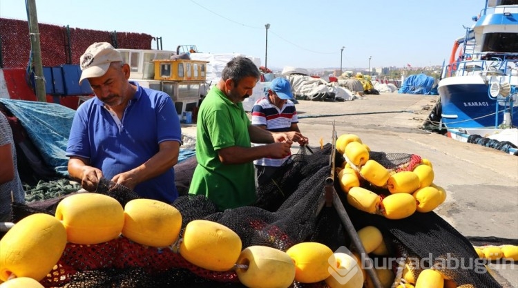 Balıkçılar bol hamsiyle limana dönüyor
