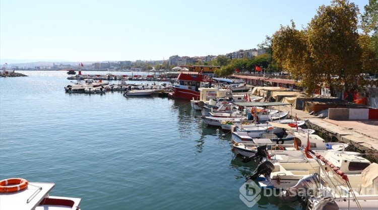 Balıkçılar bol hamsiyle limana dönüyor