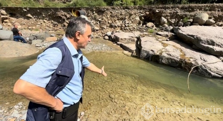 Çimento yüzünden binlerce balık öldü...