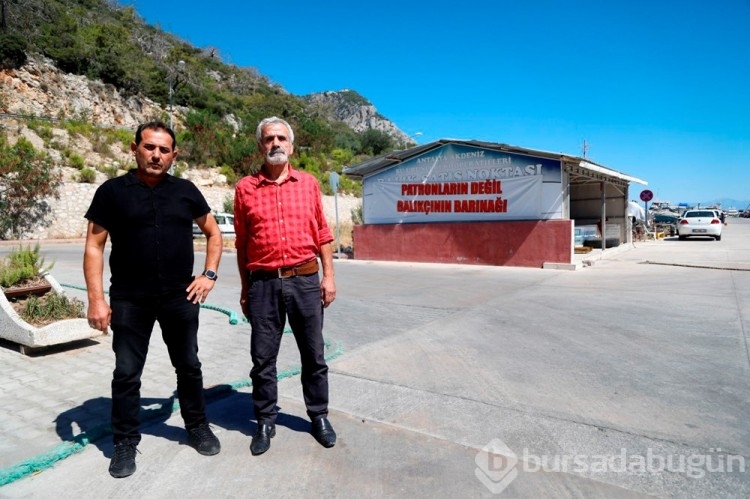 Türkiye'nin en büyük balıkçı barınağının sözleşmesi, milyonluk borç ve usulsüzlük nedeniyle feshedildi