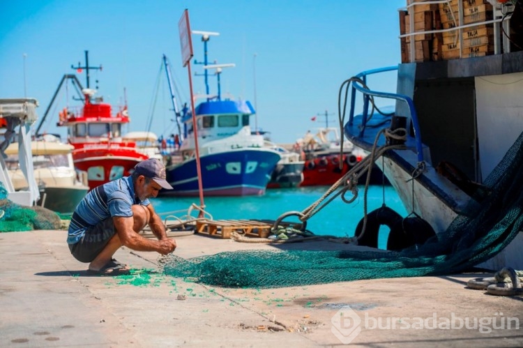 Türkiye'nin en büyük balıkçı barınağının sözleşmesi, milyonluk borç ve usulsüzlük nedeniyle feshedildi