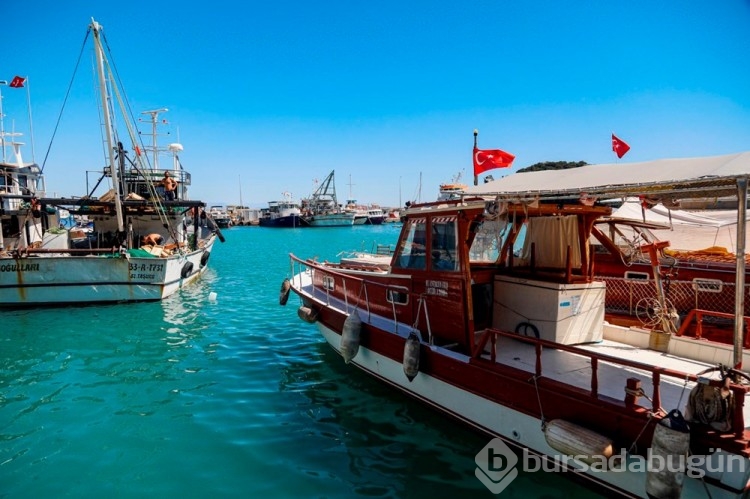 Türkiye'nin en büyük balıkçı barınağının sözleşmesi, milyonluk borç ve usulsüzlük nedeniyle feshedildi