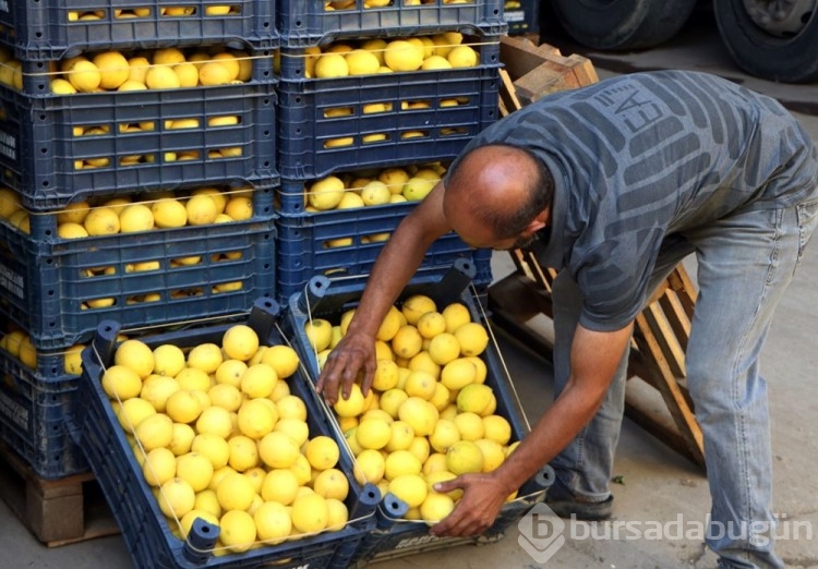 Limon tarlada 3, markette 24 TL
