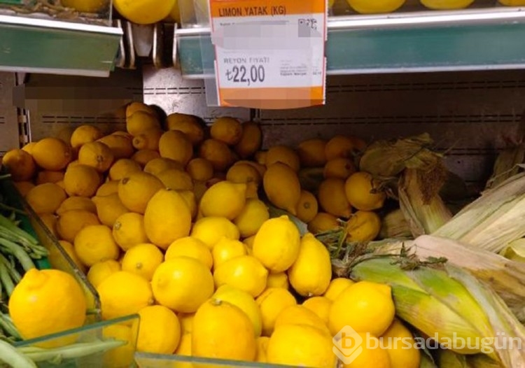 Limon tarlada 3, markette 24 TL