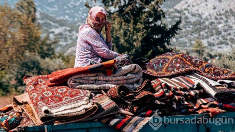 Değerleri milyonlarca lirayı buluyor: Halı tarlasında hasat başladı