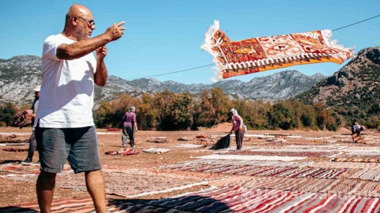 Değerleri milyonlarca lirayı buluyor: Halı tarlasında hasat başladı
