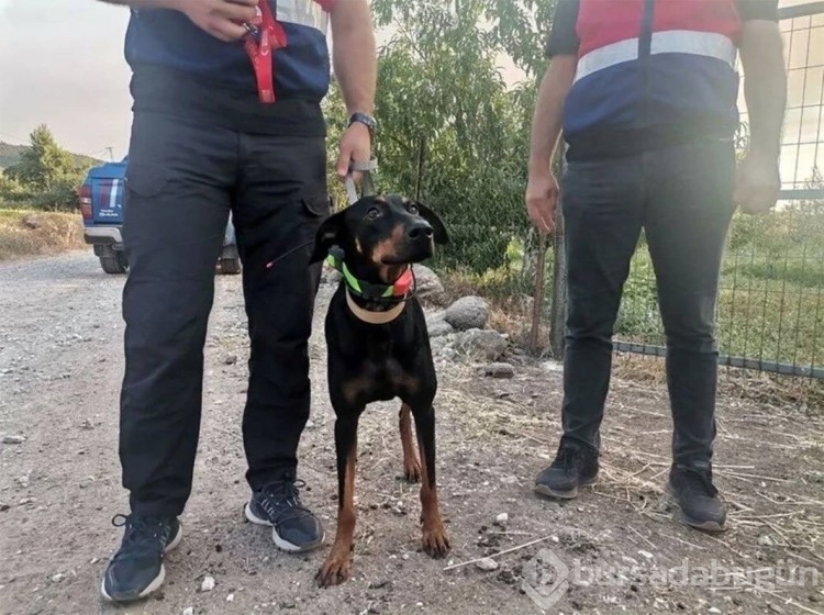 Korhan Berzeg tam 90 gündür aranıyor: 'Metafizikçi'ler yer gösterdi