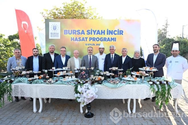 Bursa'nın 'Siyah İncisi'nde Hasat Başladı!