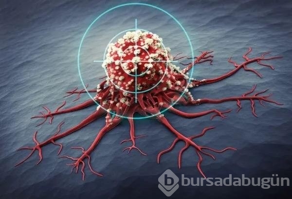 Bilim İnsanları Şaşkın: Üç Denemede Çözdüler
