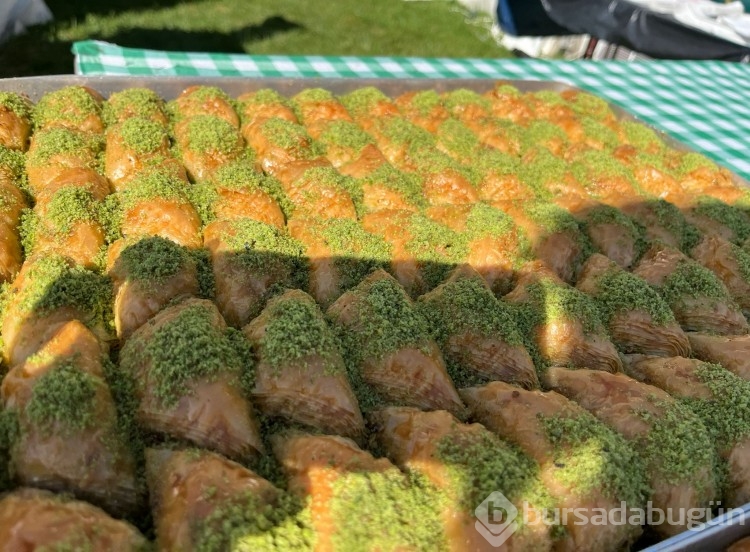 Bursa Gastronomi Festivali etkinlikleri başladı
