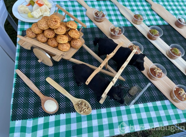 Bursa Gastronomi Festivali etkinlikleri başladı