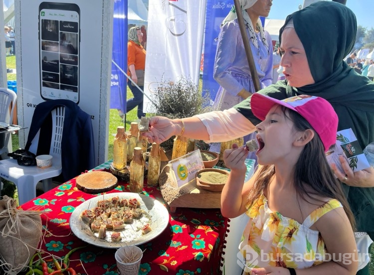 Bursa Gastronomi Festivali etkinlikleri başladı