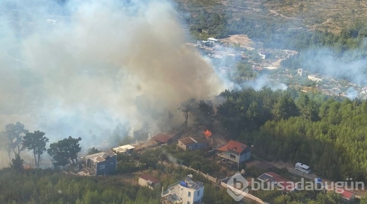 İzmir'de ormanlık alanda yangın