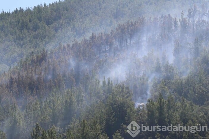 Antalya'nın Alanya ilçesindeki orman yangınında 2'nci gün