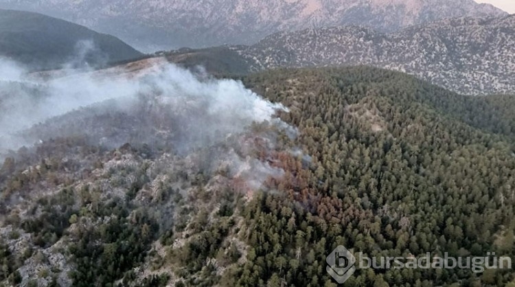 Antalya'nın Alanya ilçesindeki orman yangınında 2'nci gün