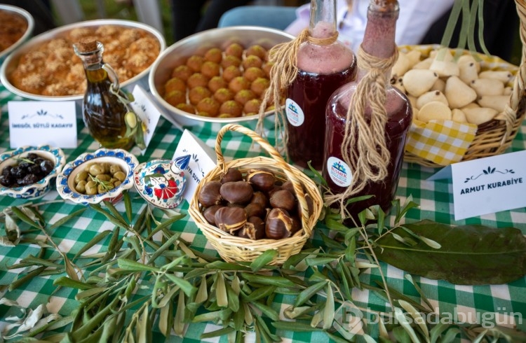 Bursa Gastronomi Festivali 3 günde 500 bin ziyaretçi ağırladı