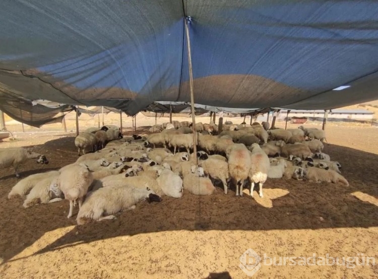 25 bin liraya çalışacak kimseyi bulamıyor