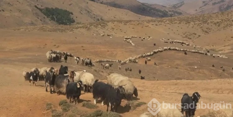 25 bin liraya çalışacak kimseyi bulamıyor