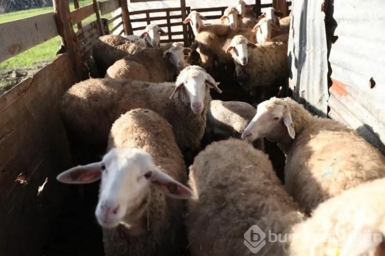 25 bin liraya çalışacak kimseyi bulamıyor
