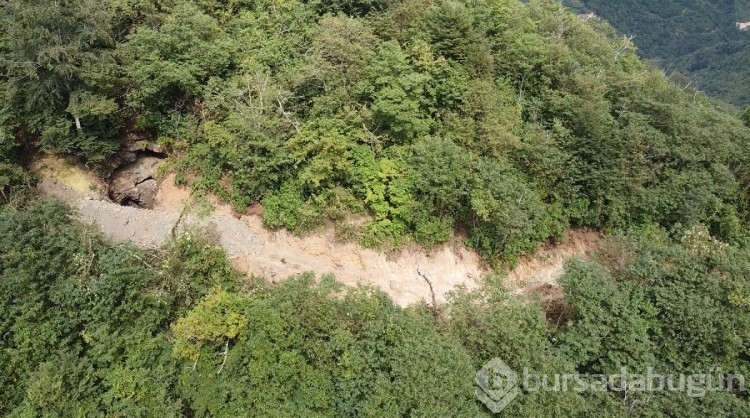 Trabzon'da kaçak define bulmak için iş makinasıyla ormana girdiler