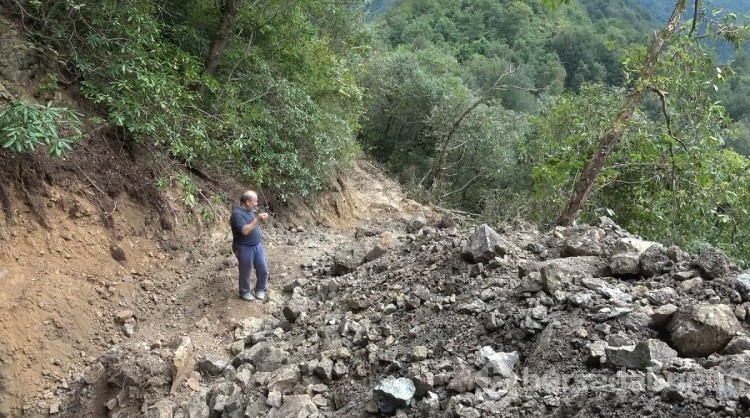 Trabzon'da kaçak define bulmak için iş makinasıyla ormana girdiler