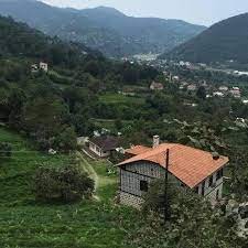 Artvin'de kuduz karantinası!