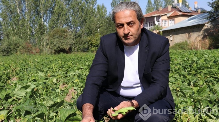 Van'ın 'Gevaş fasulyesi' tescillendi