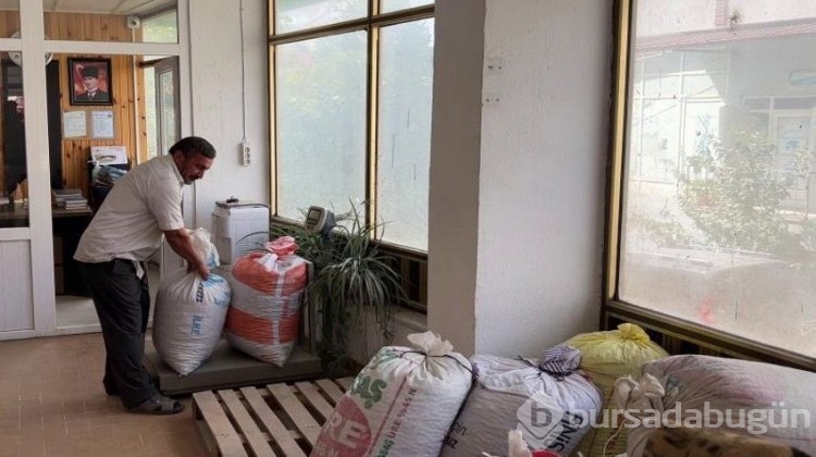 Fındıktaki düşük rekolte üreticinin bu kez yüzünü güldürdü! 
