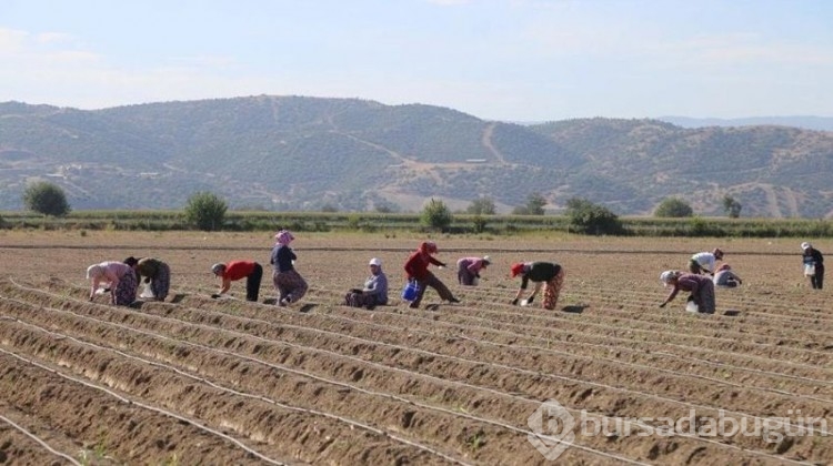 Belediyeden ilçe tarımını geliştirecek yerli üretim!
