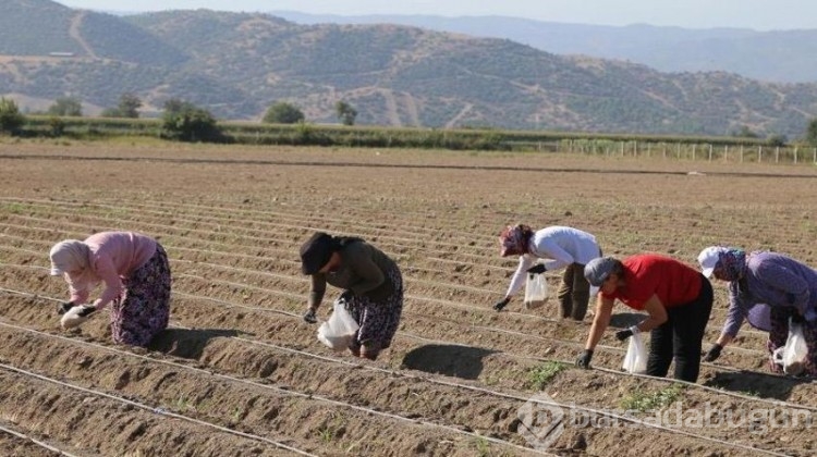 Belediyeden ilçe tarımını geliştirecek yerli üretim!
