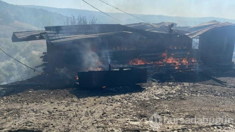 Köyde korku dolu anlar! 10 ev ve 3 ahır kül oldu
