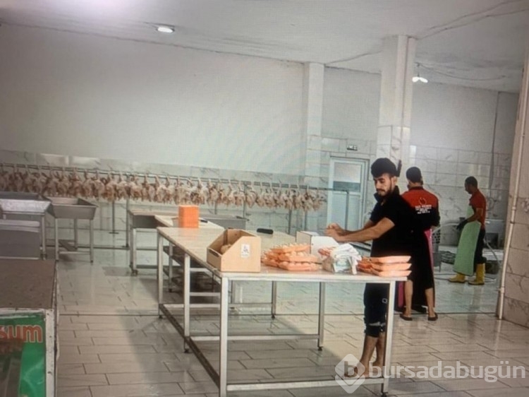 Mülk sahibiyle kiracı arasında kaçak tavuk kesimi kavgası