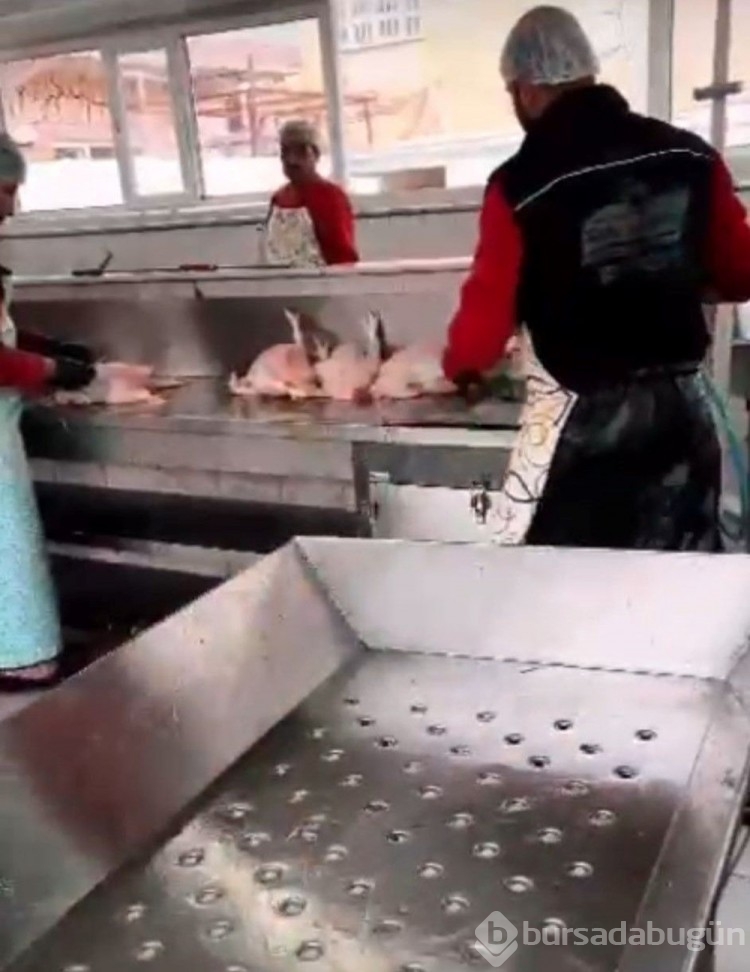 Mülk sahibiyle kiracı arasında kaçak tavuk kesimi kavgası