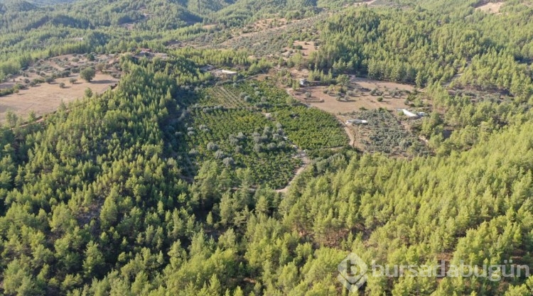 Antalya'da sondaj yapılan bahçeden gaz çıktı
