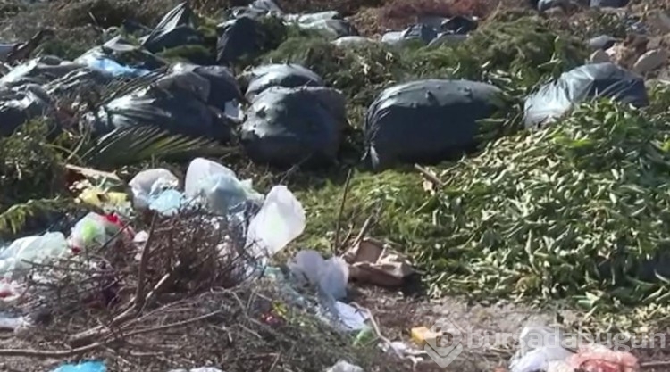 Beylikdüzü'nde araziye dökülen çöpler tepkilere yol açtı
