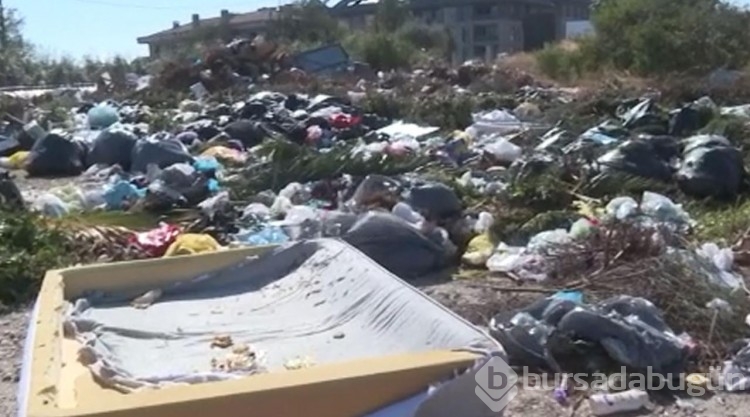 Beylikdüzü'nde araziye dökülen çöpler tepkilere yol açtı

