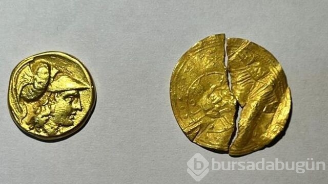 Tam 267 adet! Peynir bidonundan servet çıktı!