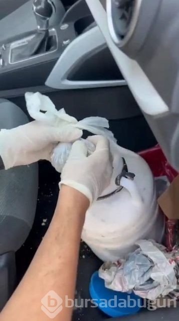 Tam 267 adet! Peynir bidonundan servet çıktı!