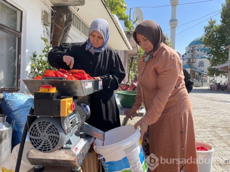 Bursa'da meralar koruma altında