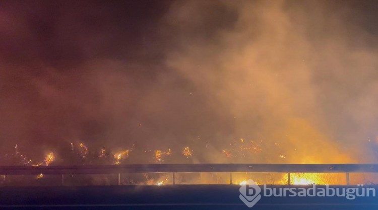 Malatya'da dağdaki yangın 3 saatte kontrol altına alındı