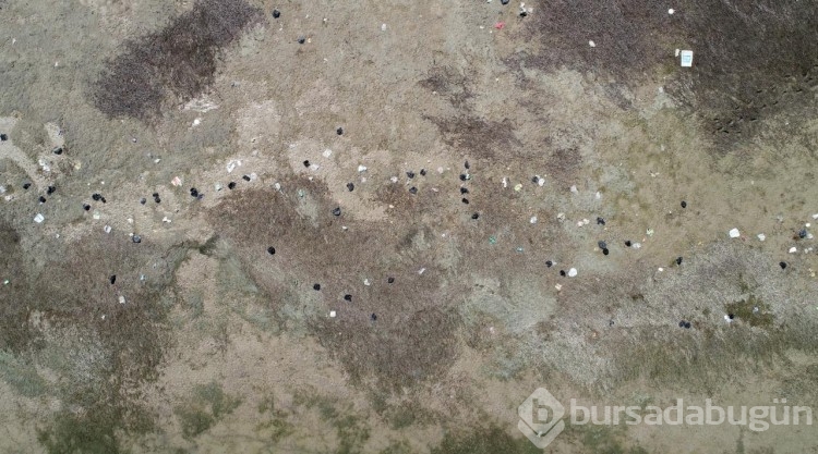 Suyu çekilen Seyhan Baraj Gölü'nde kirlilik