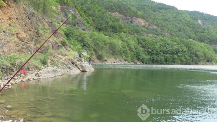 Baraj gölünde balık kafesi yırtıldı