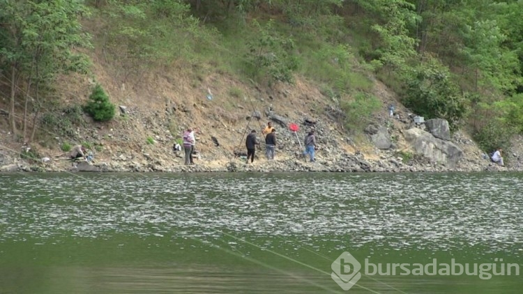 Baraj gölünde balık kafesi yırtıldı