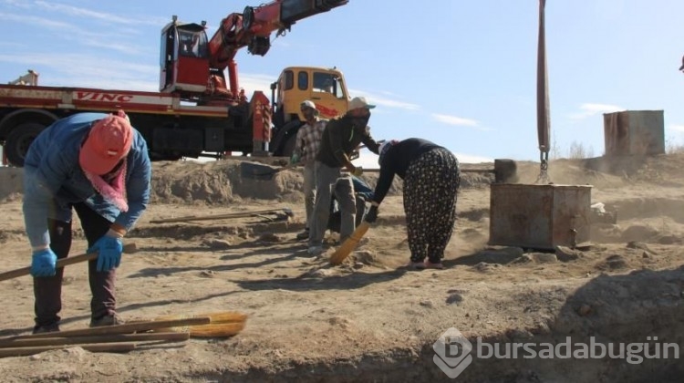4 bin 200 yıllık çukurdan çıkarılan buğdaylar tarihe ışık tutacak
