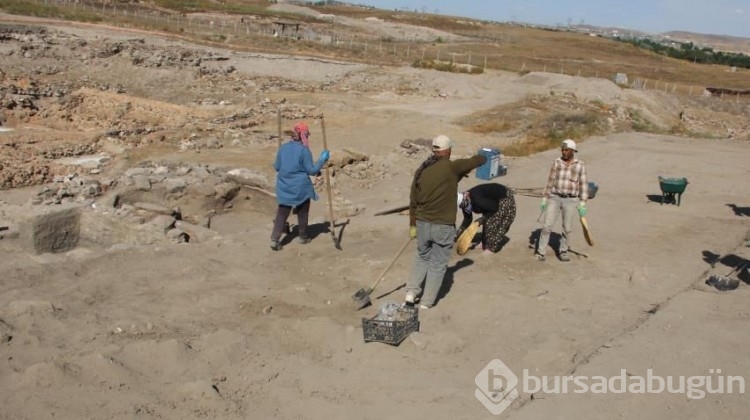 4 bin 200 yıllık çukurdan çıkarılan buğdaylar tarihe ışık tutacak
