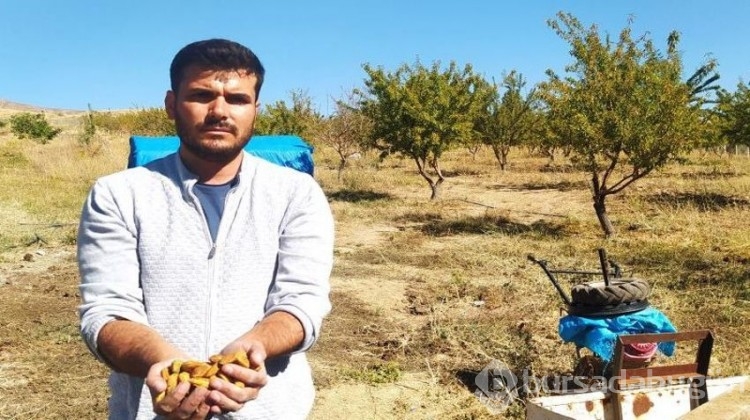Genç üretici 'yapamazsın' diyenlere aldırmadı, 10 yıl sonra başardı!