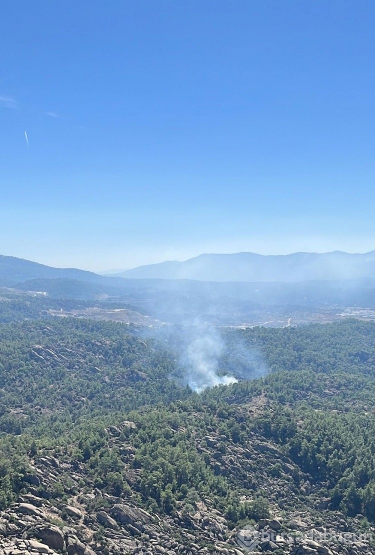 Adana ve Muğla'da orman yangını