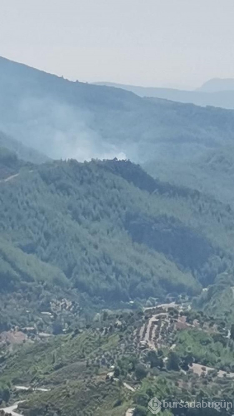 Adana ve Muğla'da orman yangını