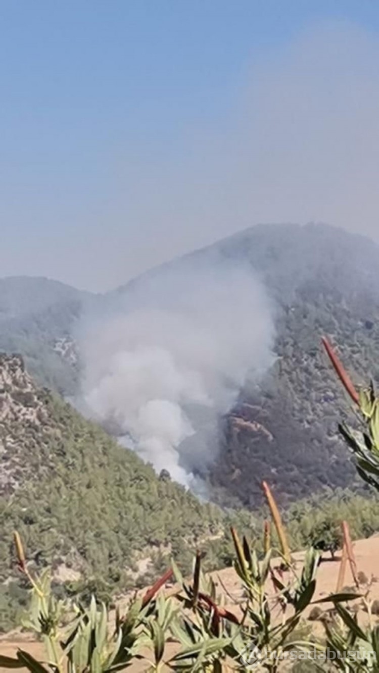 Adana ve Muğla'da orman yangını