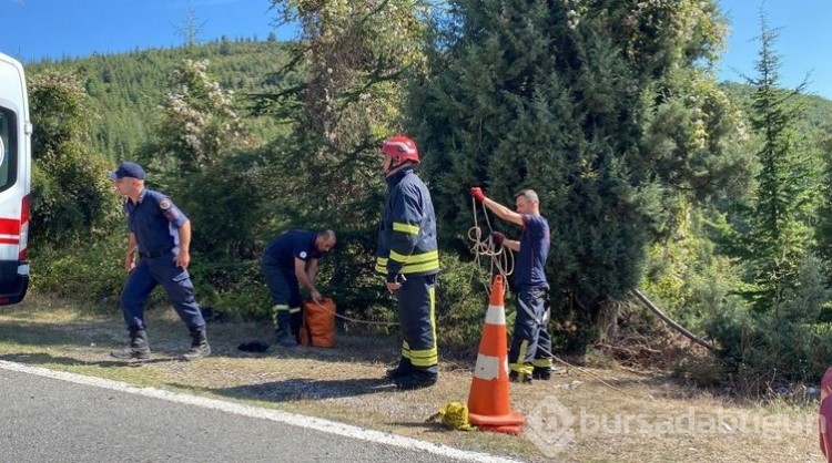 Önce dövüp sonra da uçuruma attılar! 
